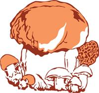 HONGOS DE ZAMORA, S.L.