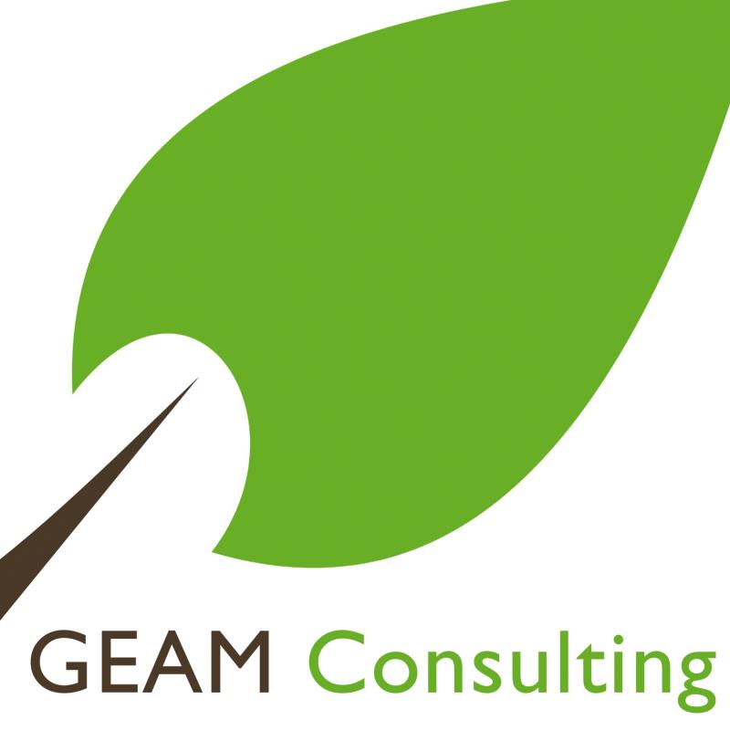 GEAM CONSULTING C.B 