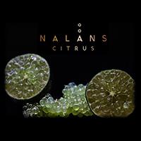 NALANS CITRUS