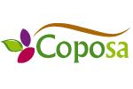 CONTROL DE PORCIONES, S.A. (COPOSA)