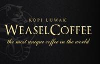 WEASEL CAFFEE KOPY LUWAK