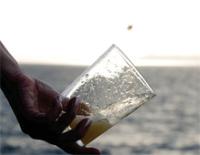 Sidra