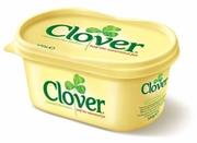 CLOVER Original 24 x 500gr