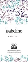 Isabelino Rueda 2017