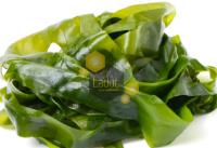 Alga wakame